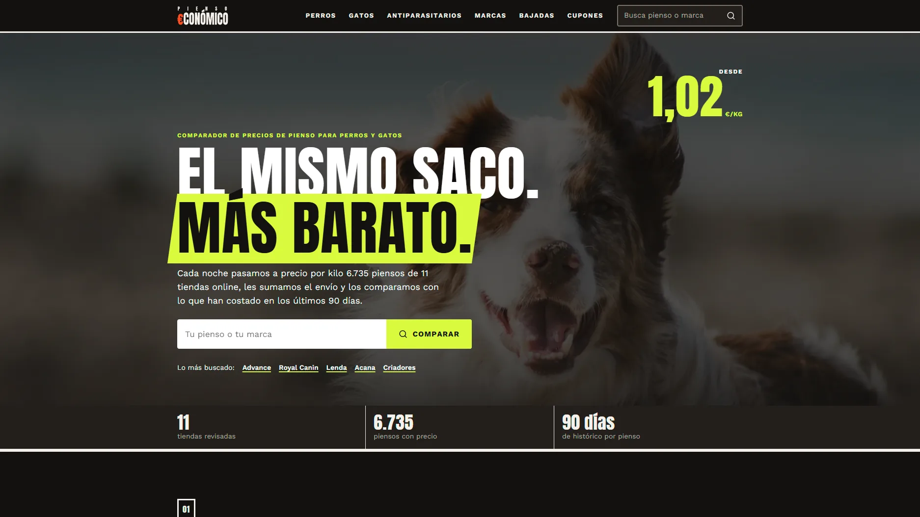 Pienso Economico